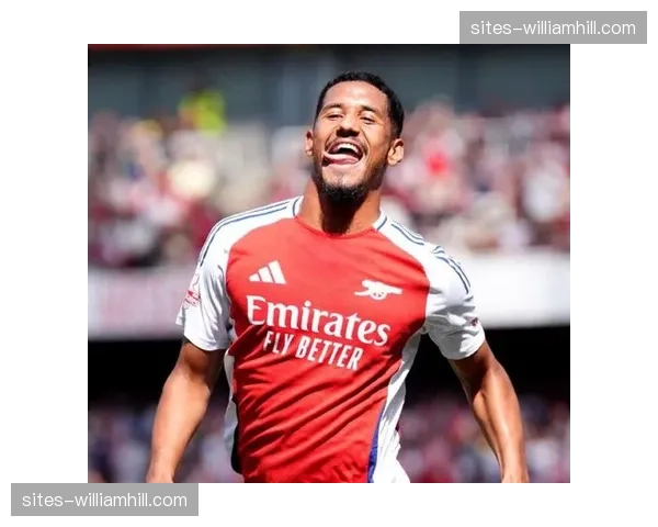 阿森纳三后卫入选月度最佳 廷伯加布里埃尔萨利巴构筑钢铁防线